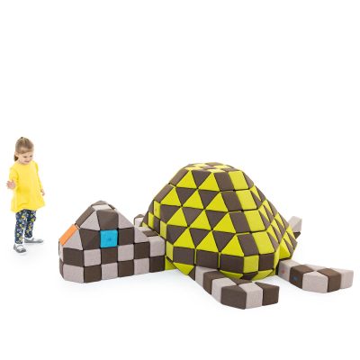 3Y9A5007-1 Turtle SHELLY